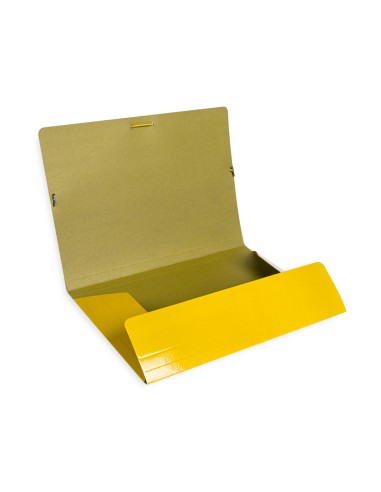 Carpeta liderpapel gomas folio 3 solapas carton...
