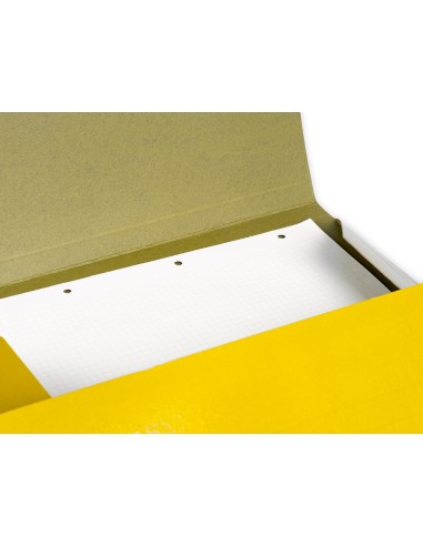 Carpeta liderpapel gomas folio 3 solapas carton...