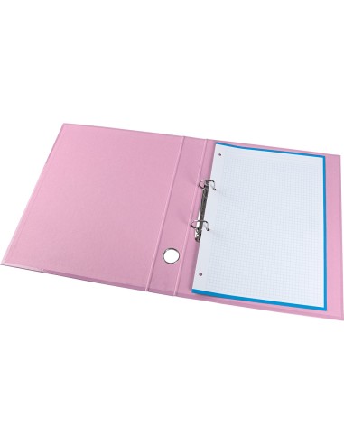 Carpeta de 2 anillas 25 mm mixtas liderpapel a4...
