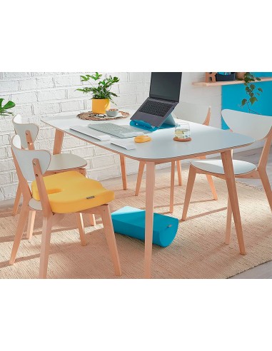 Reposapies de escritorio leitz active ergo cosy...