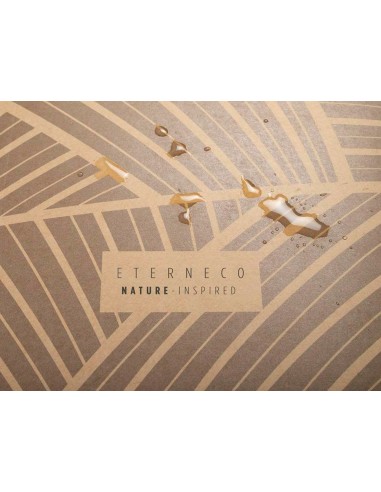 Carpeta de proyecto exacompta eterneco carton...