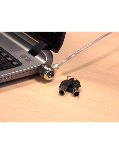 Cable de seguridad ewent para portatil con 2...