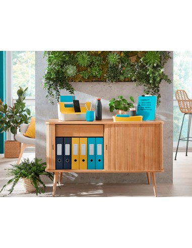 Bandeja sobremesa plastico leitz cosy azul...