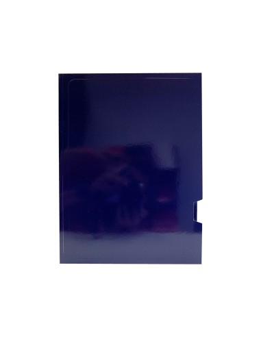 Subcarpeta cartulina gio plastificada...