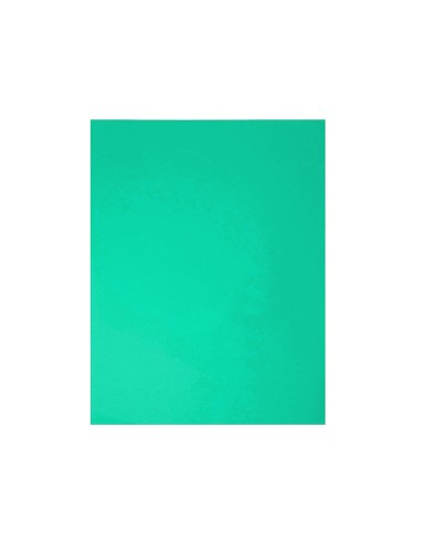 Cartulina guarro verde menta 50x65 cm 185 gr