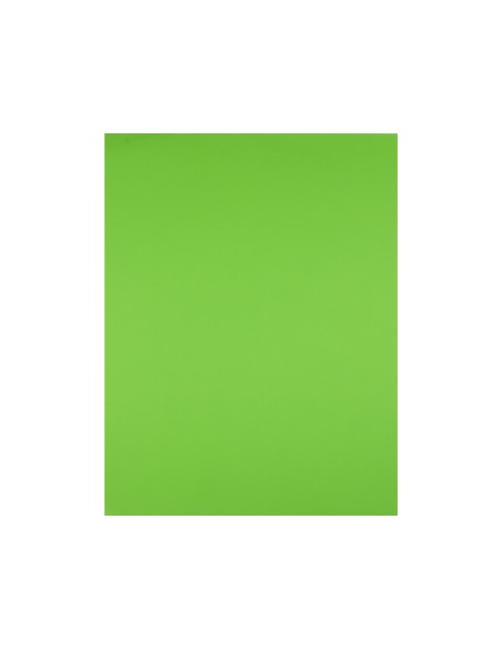 Cartulina liderpapel 50x65 cm 180g/m2 verde pistacho paquete de 25 hojas