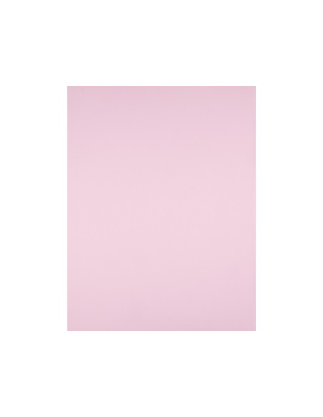 Cartulina liderpapel 50x65 cm 180g/m2 rosa paquete de 25 hojas