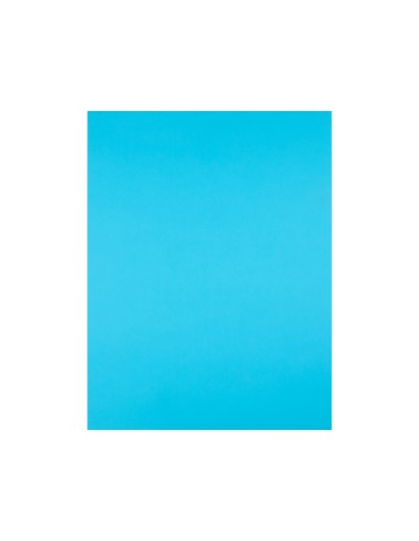 Cartulina liderpapel 50x65 cm 180g/m2 celeste...