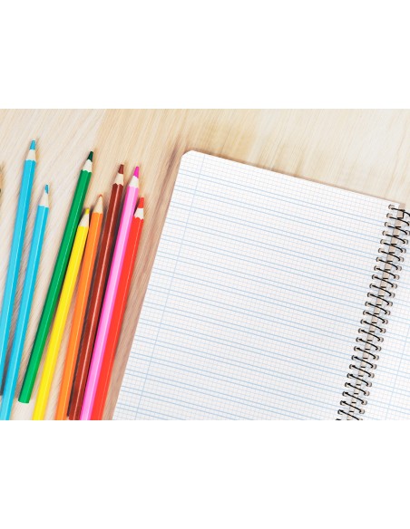 Cuaderno espiral liderpapel cuarto pautaguia tapa dura 80h 75gr cuadro pautado 3mm con margen