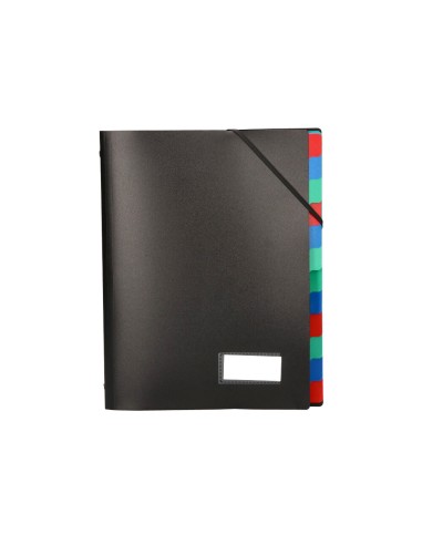 Carpeta liderpapel clasificadora polipropileno...
