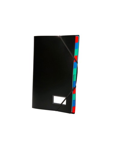 Carpeta liderpapel clasificadora polipropileno...
