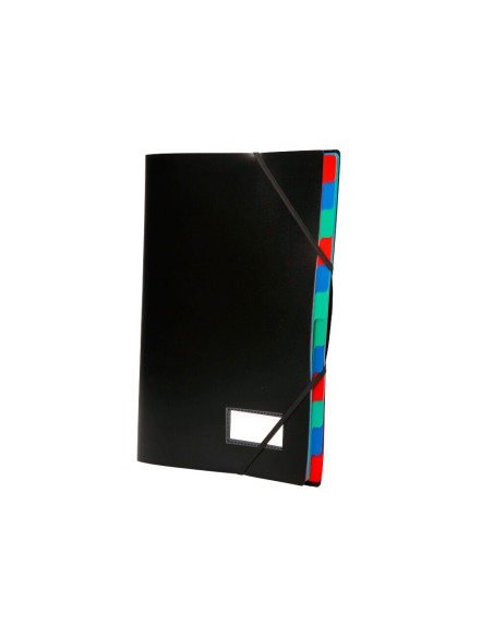 Carpeta liderpapel clasificadora polipropileno din a4 negra -portafirmas -12 departamentos