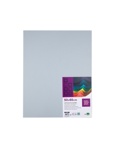 Cartulina liderpapel 50x65 cm 180 gr gris...