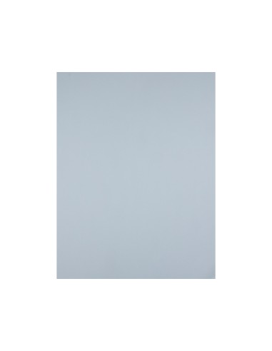 Cartulina liderpapel 50x65 cm 180 gr gris...