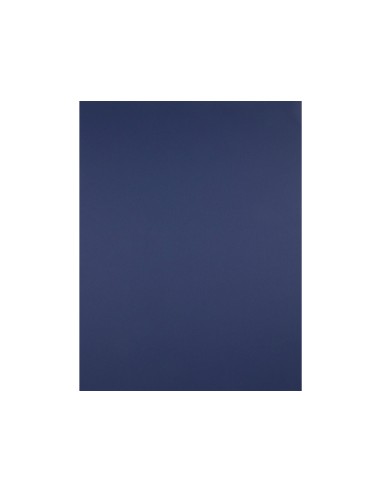 Cartulina liderpapel 50x65 cm 180 gr zafiro...