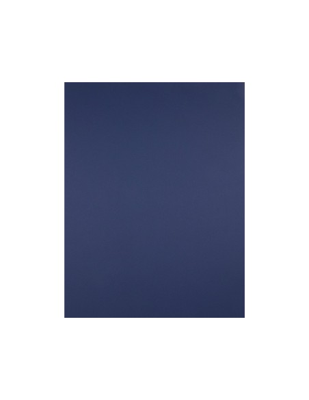 Cartulina liderpapel 50x65 cm 180 gr zafiro paquete de 25 hojas