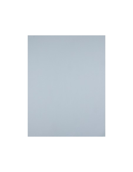 Cartulina liderpapel 50x65 cm 180 gr gris unidad