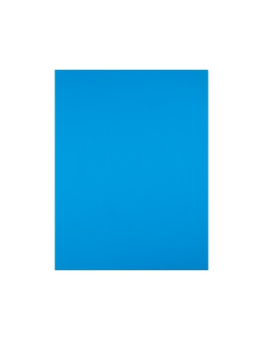 Cartulina liderpapel 50x65 cm 240g/m2 azul...