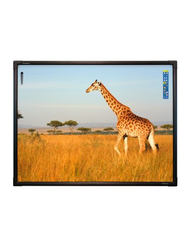 Pizarra interactiva promethean abt78d 78\" con...