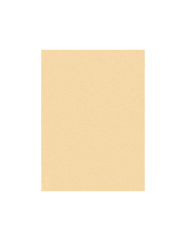 Fieltro liderpapel 50x70cm color carne 160g/m2