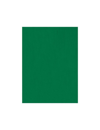 Fieltro liderpapel 50x70cm verde 160g/m2