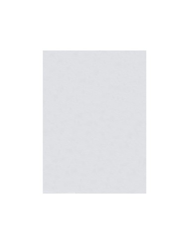 Fieltro liderpapel 50x70cm blanco 160g/m2