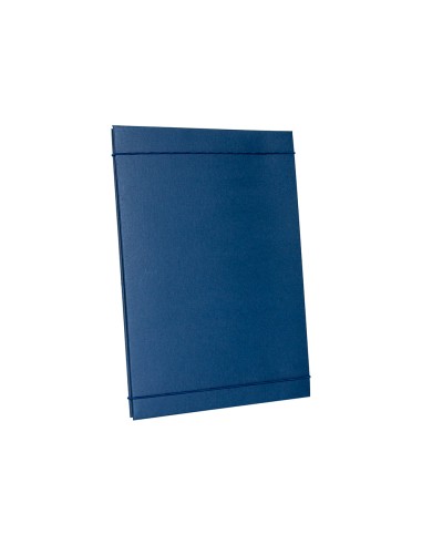 Carpeta proyectos liderpapel extensible gofrada...