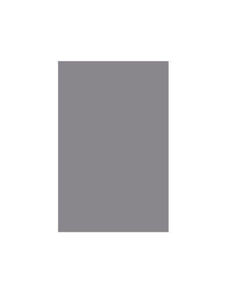 Cartulina liderpapel 50x65 cm gris 240 gr unidad