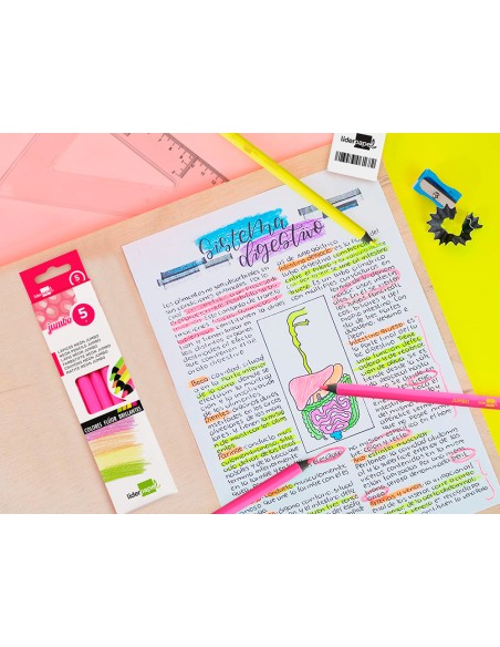 Lapices fluorescente liderpapel jumbo neon rosa
