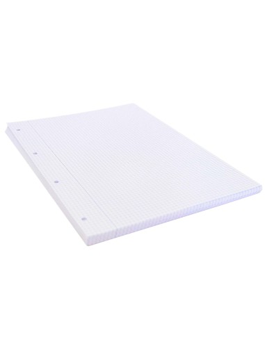 Recambio liderpapel a4 100 hojas 75gr cuadro...