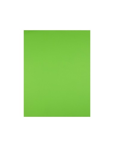 Cartulina liderpapel 50x65 cm 240g/m2 verde hierba