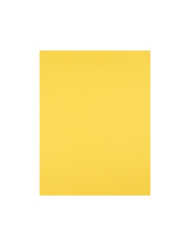 Cartulina liderpapel 50x65 cm 240g/m2 amarillo...