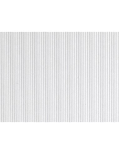 Carton ondulado liderpapel 50 x 70cm 320 g blanco