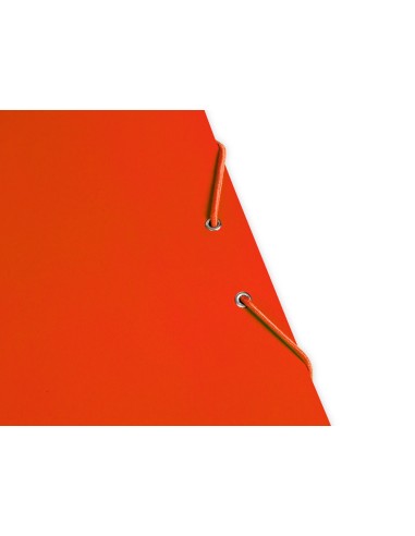 Carpeta liderpapel gomas folio 3 solapas carton...
