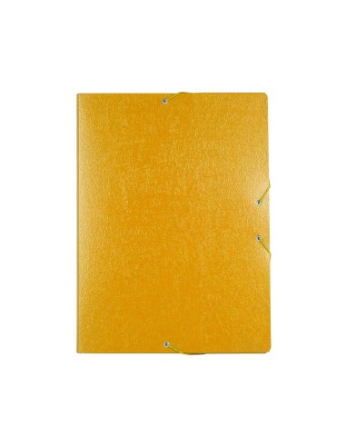 Carpeta proyectos liderpapel folio lomo 30mm...
