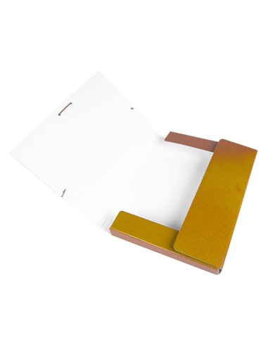 Carpeta proyectos liderpapel folio lomo 30mm...