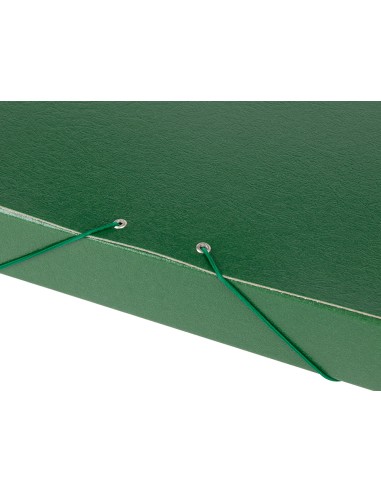 Carpeta proyectos liderpapel folio lomo 50mm...
