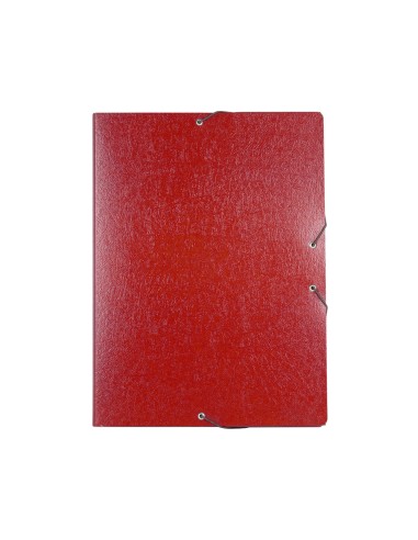 Carpeta proyectos liderpapel folio lomo 30mm...