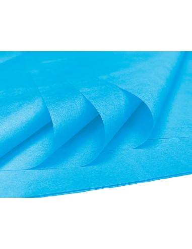 Papel seda liderpapel 52x76cm 18g/m2 bolsa de 5...