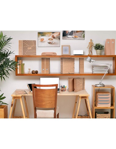 Carpeta de proyecto exacompta eterneco carton...