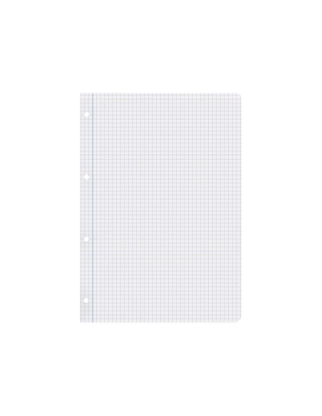 Recambio liderpapel a4 100 hojas papel reciclado 100% 80gr cuadro 4mm con margen 4 taladros