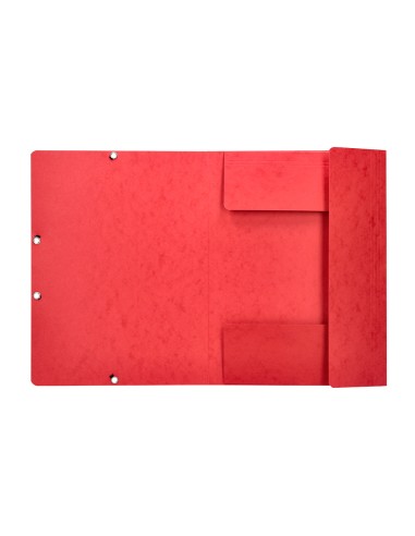 Carpeta q-connect gomas kf02174 carton...