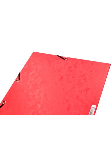 Carpeta q-connect gomas kf02174 carton...