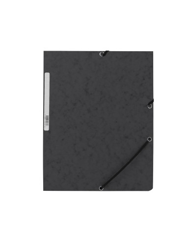 Carpeta q-connect gomas kf02169 carton...
