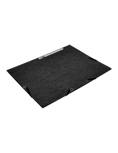 Carpeta q-connect gomas kf02169 carton...