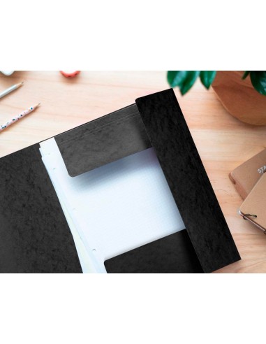 Carpeta q-connect gomas kf02169 carton...
