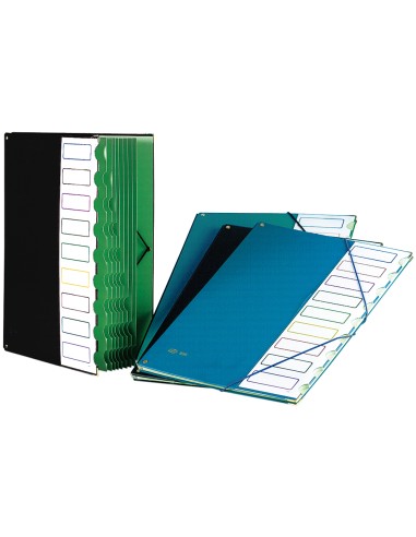 Carpeta clasificador tapa de plastico pardo...