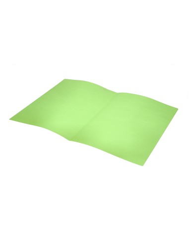Subcarpeta liderpapel din a4 verde intenso 180g/m2