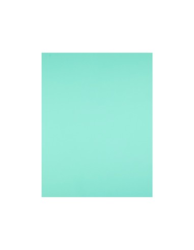 Cartulina liderpapel 50x65 cm 180g/m2 verde