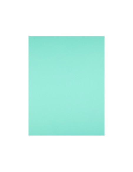 Cartulina liderpapel 50x65 cm 180g/m2 verde